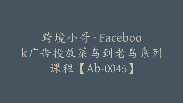 跨境小哥·Facebook广告投放菜鸟到老鸟系列课程【Ab-0045】