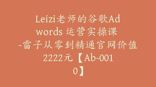 Leizi老师的谷歌Adwords 运营实操课 -雷子从零到精通官网价值2222元【Ab-0010】