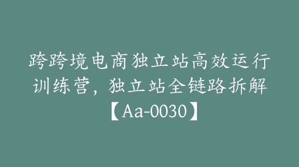 跨跨境电商独立站高效运行训练营，独立站全链路拆解【Aa-0030】