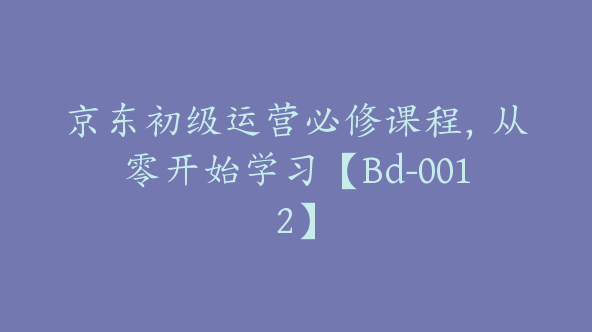 京东初级运营必修课程，从零开始学习【Bd-0012】