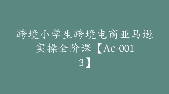 跨境小学生跨境电商亚马逊实操全阶课【Ac-0013】