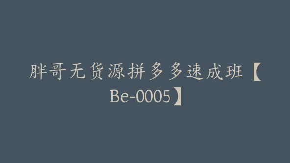 胖哥无货源拼多多速成班【Be-0005】