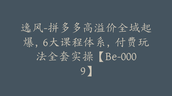 逸风-拼多多高溢价全域起爆，6大课程体系，付费玩法全套实操【Be-0009】