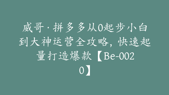 威哥·拼多多从0起步小白到大神运营全攻略，快速起量打造爆款【Be-0020】