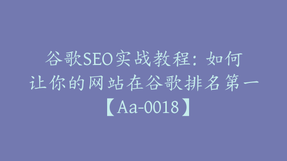 谷歌SEO实战教程：如何让你的网站在谷歌排名第一【Aa-0018】