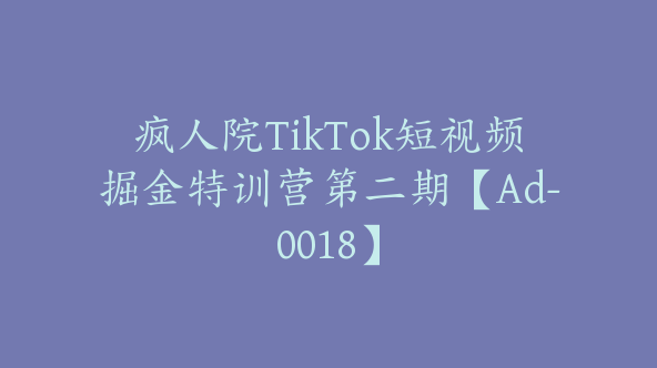 疯人院TikTok短视频掘金特训营第二期【Ad-0018】