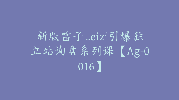 新版雷子Leizi引爆独立站询盘系列课【Ag-0016】