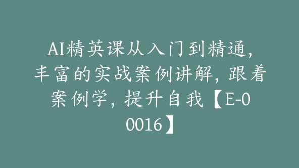 AI精英课从入门到精通，丰富的实战案例讲解，跟着案例学，提升自我【E-00016】