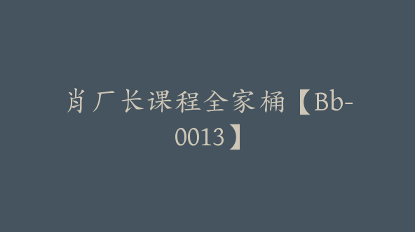 肖厂长课程全家桶【Bb-0013】