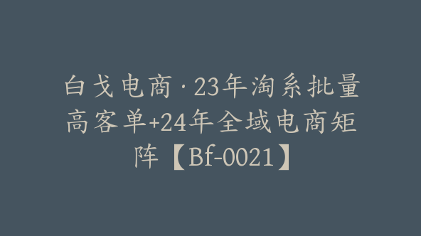 白戈电商·23年淘系批量高客单+24年全域电商矩阵【Bf-0021】