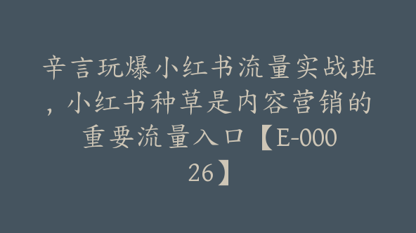 辛言玩爆小红书流量实战班，小红书种草是内容营销的重要流量入口【E-00026】