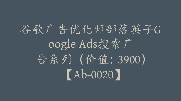 谷歌广告优化师部落英子Google Ads搜索广告系列（价值：3900）【Ab-0020】