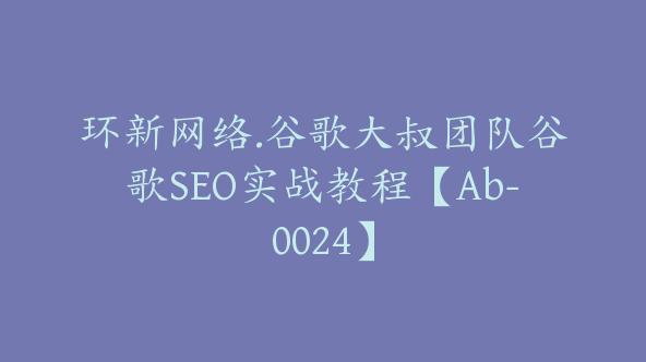 环新网络.谷歌大叔团队谷歌SEO实战教程【Ab-0024】