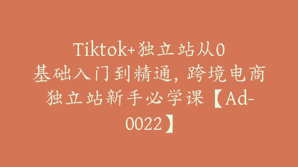 Tiktok+独立站从0基础入门到精通，跨境电商独立站新手必学课【Ad-0022】