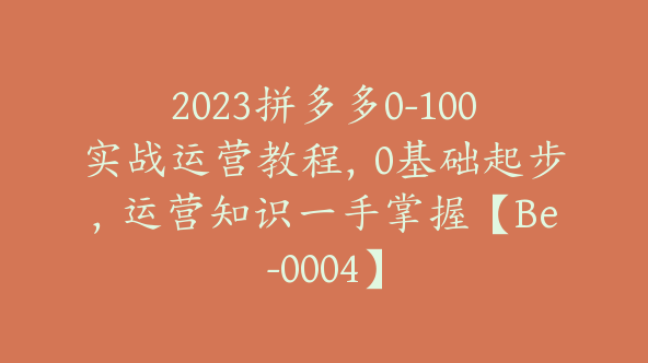 2023拼多多0-100实战运营教程，0基础起步，运营知识一手掌握【Be-0004】