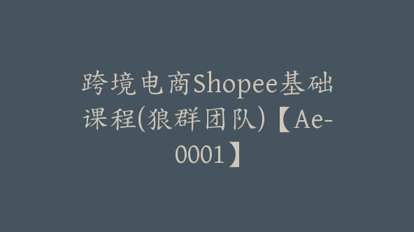 跨境电商Shopee基础课程(狼群团队)【Ae-0001】