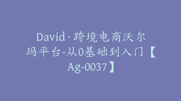 David·跨境电商沃尔玛平台-从0基础到入门【Ag-0037】