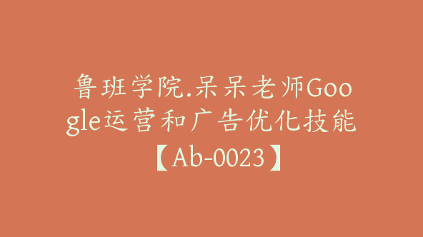 鲁班学院.呆呆老师Google运营和广告优化技能【Ab-0023】