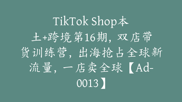 TikTok Shop本土+跨境第16期，双店带货训练营，出海抢占全球新流量，一店卖全球【Ad-0013】