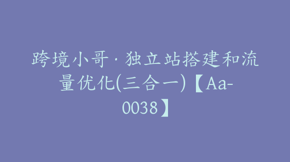 跨境小哥·独立站搭建和流量优化(三合一)【Aa-0038】