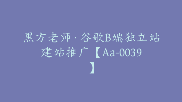 黑方老师·谷歌B端独立站建站推广【Aa-0039】