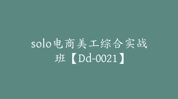 solo电商美工综合实战班【Dd-0021】