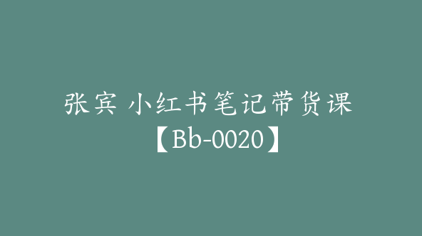 张宾 小红书笔记带货课 【Bb-0020】