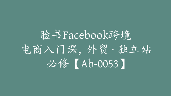 脸书Facebook跨境电商入门课，外贸·独立站必修【Ab-0053】