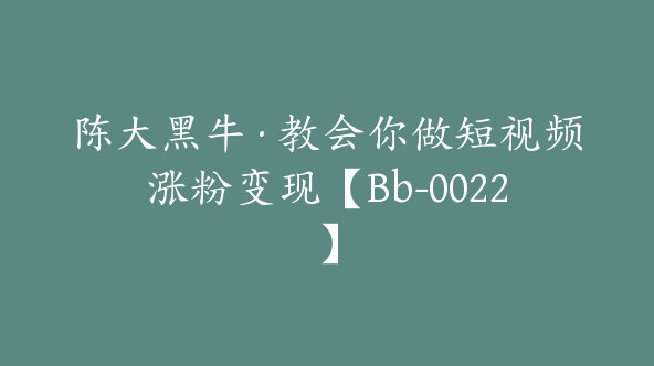 陈大黑牛·教会你做短视频涨粉变现【Bb-0022】