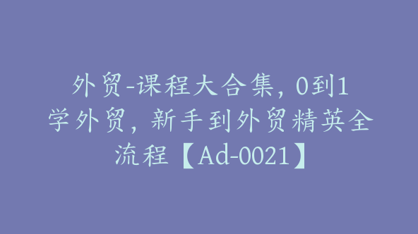 外贸-课程大合集，0到1学外贸，新手到外贸精英全流程【Ad-0021】