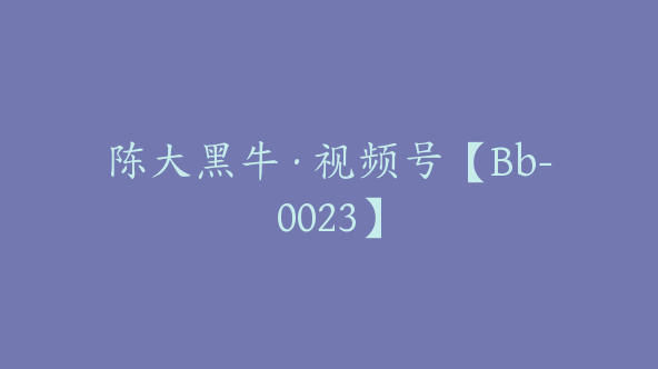 陈大黑牛·视频号【Bb-0023】