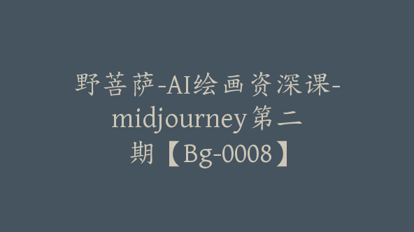 野菩萨-AI绘画资深课-midjourney第二期【Bg-0008】