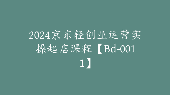 2024京东轻创业运营实操起店课程【Bd-0011】