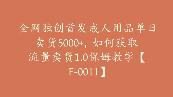 全网独创首发成人用品单日卖货5000+，如何获取流量卖货1.0保姆教学【F-0011】