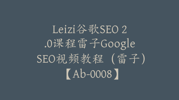 Leizi谷歌SEO 2.0课程雷子Google SEO视频教程（雷子）【Ab-0008】