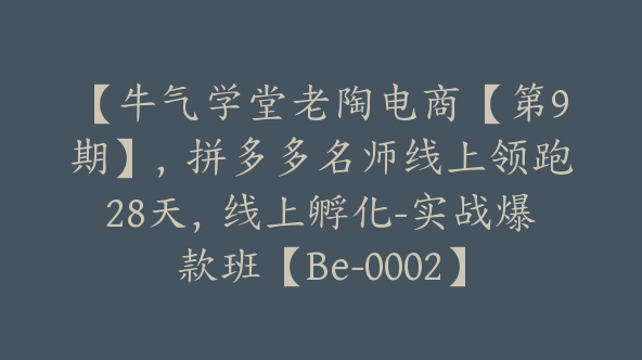 【牛气学堂老陶电商【第9期】，拼多多名师线上领跑28天，线上孵化-实战爆款班【Be-0002】