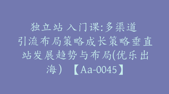 独立站 入门课:多渠道 引流布局策略成长策略垂直站发展趋势与布局(优乐出海）【Aa-0045】