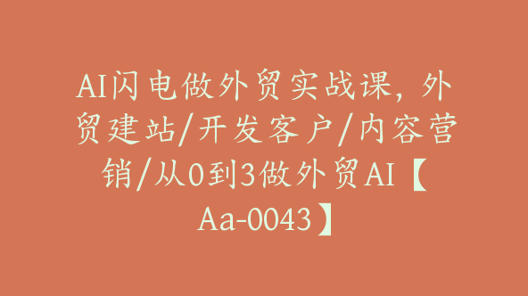 AI闪电做外贸实战课，外贸建站/开发客户/内容营销/从0到3做外贸AI【Aa-0043】