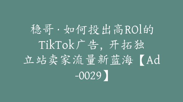 稳哥·如何投出高ROl的TikTok广告，开拓独立站卖家流量新蓝海【Ad-0029】