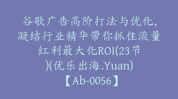 谷歌广告高阶打法与优化，凝结行业精华带你抓住流量红利最大化ROI(23节)(优乐出海.Yuan)【Ab-0056】