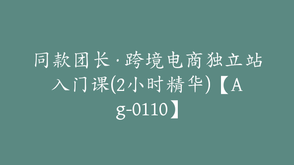 同款团长·跨境电商独立站入门课(2小时精华)【Ag-0110】