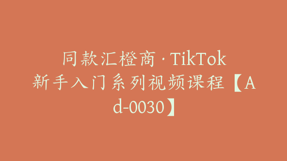 同款汇橙商·TikTok新手入门系列视频课程【Ad-0030】