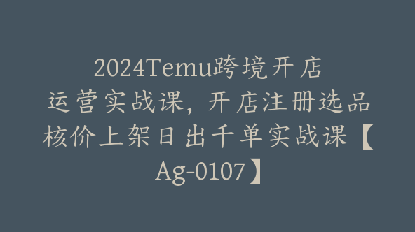 2024Temu跨境开店运营实战课，开店注册选品核价上架日出千单实战课【Ag-0107】