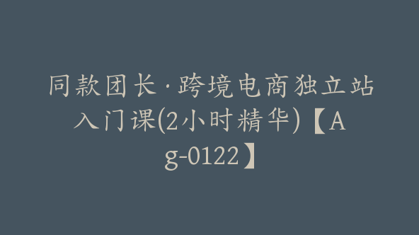 同款团长·跨境电商独立站入门课(2小时精华)【Ag-0122】