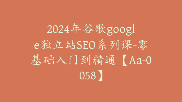 2024年谷歌google独立站SEO系列课-零基础入门到精通【Aa-0058】