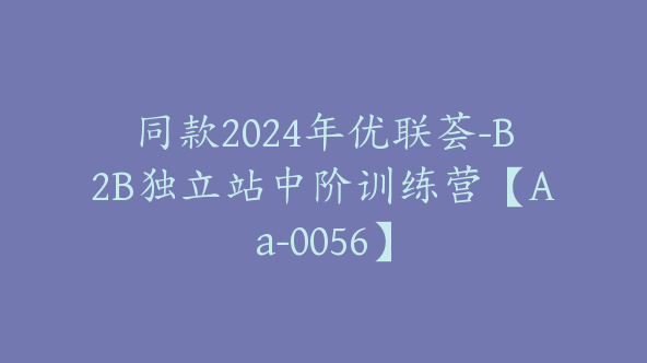 同款2024年优联荟-B2B独立站中阶训练营【Aa-0056】