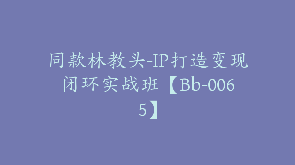 同款林教头-IP打造变现闭环实战班【Bb-0065】