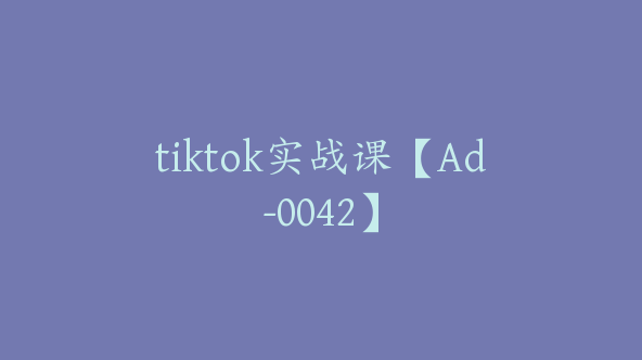 tiktok实战课【Ad-0042】