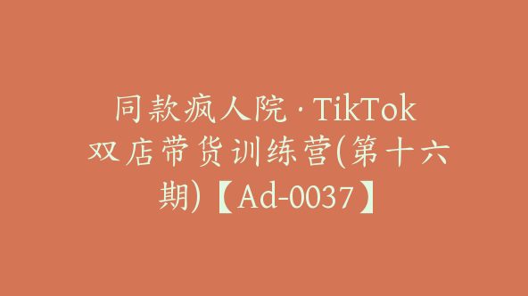 同款疯人院·TikTok 双店带货训练营(第十六期)【Ad-0037】