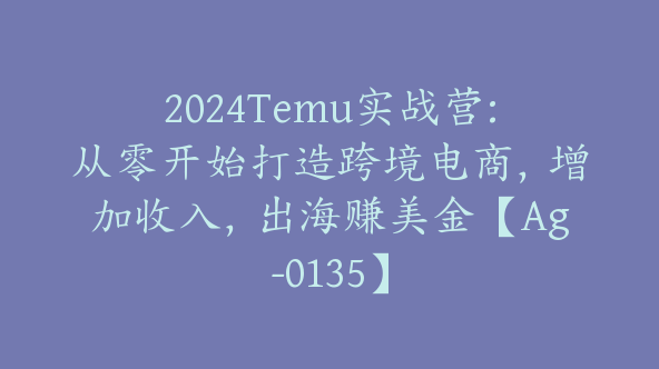 2024Temu实战营:从零开始打造跨境电商，增加收入，出海赚美金【Ag-0135】